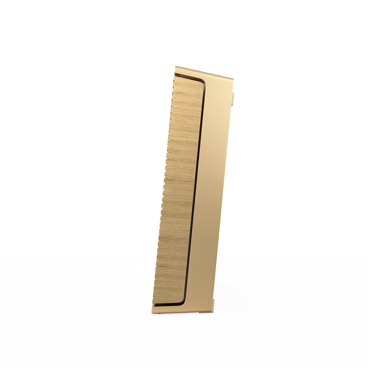 B&O Beosound Level 可攜式家庭揚聲器