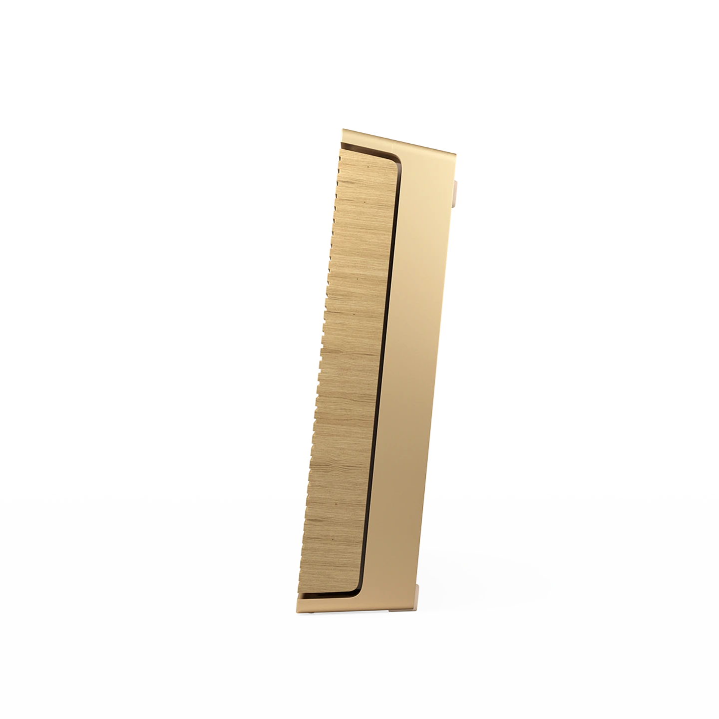 B&O Beosound Level 可攜式家庭揚聲器