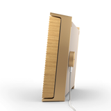 B&O Beosound Level 可攜式家庭揚聲器