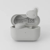 Final Audio ZE300 藍牙耳機