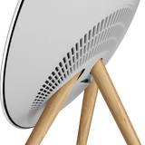 B&O Beoplay A9 4th Gen 無線喇叭