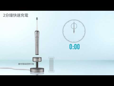 Panasonic 樂聲 EWDP52/S 雙重聲波震動牙刷